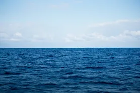 _assets/79fc107b-dcfa-4559-9c8f-d2fef8473f89.webp